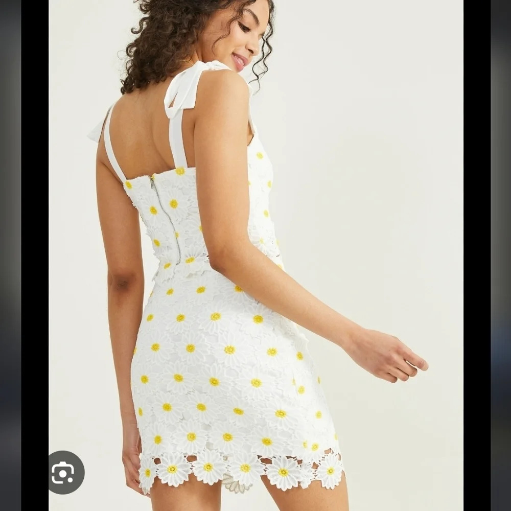 COPY - Altar'd State Daisy Dress - Picture 3 of 5